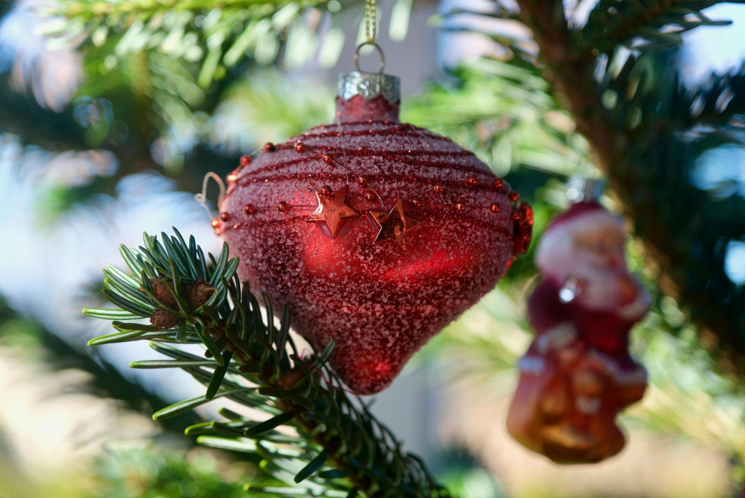 Celebrate Thanksgiving and Gratitude with Festive Christmas Ornaments